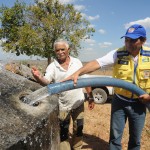 Governo do Estado presta assistência a mais cinco municípios em emergência - Operação pipa em Poço Verde / Fotos: Edinah Mary/Seides