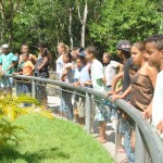 Crianças e adolescentes da Fundação Renascer visitam Parque da Cidade - Fotos: Edinah Mary/Seides