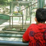 Crianças e adolescentes da Fundação Renascer visitam Parque da Cidade - Fotos: Edinah Mary/Seides