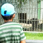 Crianças e adolescentes da Fundação Renascer visitam Parque da Cidade - Fotos: Edinah Mary/Seides