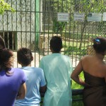 Crianças e adolescentes da Fundação Renascer visitam Parque da Cidade - Fotos: Edinah Mary/Seides