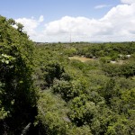 Teleférico de Aracaju atrai turistas - Fotos: Alejandro Zambrana/Emsetur