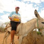 Estado já entregou 15.570 mil cestas básicas a municípios em emergência -