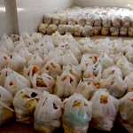 Ação solidária em Itabaiana arrecada mais de 33 toneladas de alimentos para sertanejos - A secretária de Estado da Inclusão