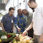 Programa da ONU desenvolvido para agricultura e alimentação é lançado em Sergipe  - Fotos: Juarez Silveira/Seed