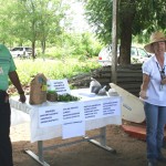 Perímetro Irrigado Jacarecica I recebe Dia de Campo - Fotos: Ascom/Cohidro