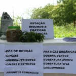 Perímetro Irrigado Jacarecica I recebe Dia de Campo - Fotos: Ascom/Cohidro
