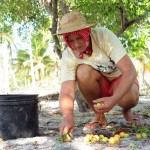 Estado apoia desenvolvimento das catadoras de mangaba de Sergipe -