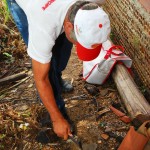 Brigada Estadual Itinerante atua na guerra contra a dengue - Fotos: Fabiana Costa/SES