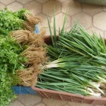 Agricultura familiar tem transformado a vida do homem do campo -