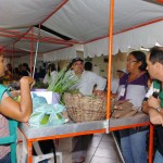 Feira da Agricultura Familiar promove saúde e inclusão social - Fotos: Edinah Mary/Seides