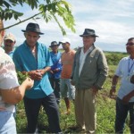 Projeto Gliricídia promove mais um dia de campo em Glória - Fotos: Ascom/Emdagro