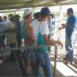 Projeto Gliricídia promove mais um dia de campo em Glória - Fotos: Ascom/Emdagro