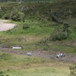 Semarh realiza plantio de espécies da Mata Atlântica às margens do rio Poxim - Fotos: Ascom/Semarh