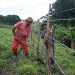Técnicos da Semarh começam a marcar áreas de plantio - Fotos: Ascom/Semarh