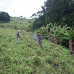 Técnicos da Semarh começam a marcar áreas de plantio - Fotos: Ascom/Semarh