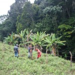 Técnicos da Semarh começam a marcar áreas de plantio - Fotos: Ascom/Semarh