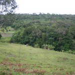 Técnicos da Semarh começam a marcar áreas de plantio - Fotos: Ascom/Semarh