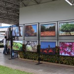 Secretário fala sobre meio ambiente para funcionários da Energisa - Fotos: Igor Andrade/Semarh
