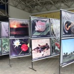 Secretário fala sobre meio ambiente para funcionários da Energisa - Fotos: Igor Andrade/Semarh