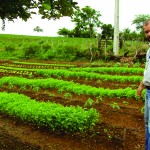 Emdagro trabalha com foco na sustentabilidade - A agricultora Quitéria Santos da Silva Araújo