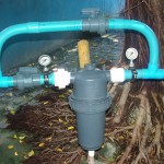 Cohidro promove curso sobre irrigação localizada - Fotos: Ascom/Cohidro