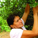 Emdagro trabalha com foco na sustentabilidade - A agricultora Quitéria Santos da Silva Araújo