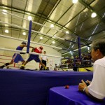 Sergipano ganha medalha de ouro no Campeonato Brasileiro de Boxe - Fotos: Marco Vieira/ASN