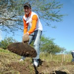 Seides inicia capacitação do 'Cultivando o Sertão do São Francisco'  - Fotos: Edinah Mary/Seides