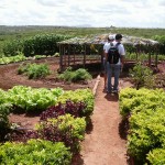A tecnologia social PAIS chega aos agricultores familiares dos perímetros irrigados assistidos pela Cohidro - Mardoqueu Bodano