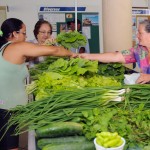 Inclusão realiza Feiras da Agricultura Familiar em Aracaju e Ribeirópolis -