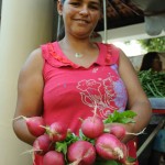 Inclusão realiza Feiras da Agricultura Familiar em Aracaju e Ribeirópolis -