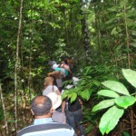 Semarh dá continuidade a curso do PNC Rural e realiza trilha ecológica - Fotos: Ascom/Semarh