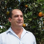 Governo compra safra de laranja e repassa a entidades socioassistenciais -