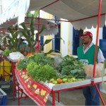 Feira de Produtos Orgânicos é sucesso -