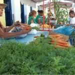 Feira de Produtos Orgânicos é sucesso -