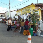Feira de Produtos Orgânicos é sucesso -