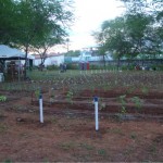 Estande com tecnologias agroecológicas é destaque na Exposição de Canindé - Fotos: Ascom/Emdagro