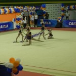 Seed abre nesta quintafeira