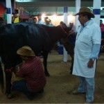 Estande com tecnologias agroecológicas é destaque na Exposição de Canindé - Fotos: Ascom/Emdagro