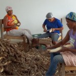 Emdagro de Neópolis promove intercâmbio com agricultores  - Fotos: Ascom/Emdagro