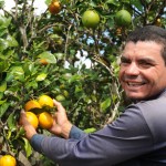 Governo lança programa 'Frutos da Terra' nesta quinta
