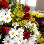 Flores e música marcam a chegada da primavera na Oncologia - Fotos: Bruno César (Ascom / FHS)