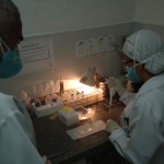 Huse capacita técnicos laboratoriais no diagnóstico imediato das meningites - Fotos: Ascom/Huse