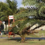 Seinfra executa serviços de manutenção na Orla - Fotos: Mario Sousa/Seinfra