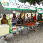 Emdagro estimula OCS´s e garante produção orgânica - Fotos: Ascom/Emdagro