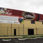Fabricante de sorvetes se beneficia com incentivos e gera emprego e renda   - Fotos: Jairo Andrade/Sedetec