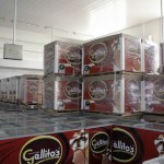 Fabricante de sorvetes se beneficia com incentivos e gera emprego e renda   - Fotos: Jairo Andrade/Sedetec