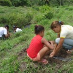 Semarh realiza plantio para recuperação do rio SiririVivo - Fotos: Ascom/Semarh