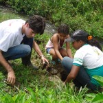 Semarh realiza plantio para recuperação do rio SiririVivo - Fotos: Ascom/Semarh